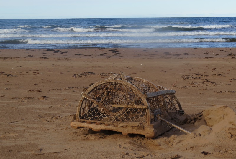 Old Style Lobster trap washed ashore on PEI beach