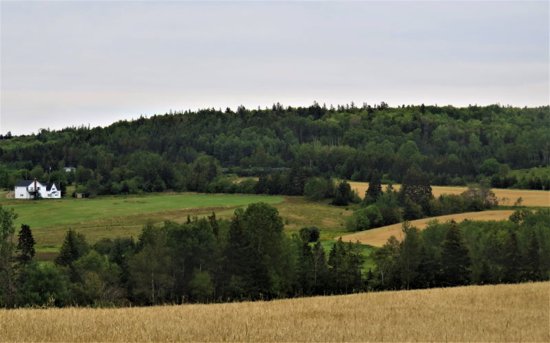 Image of a farm house in a field